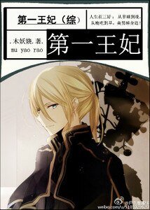（綜漫同人）第一王妃